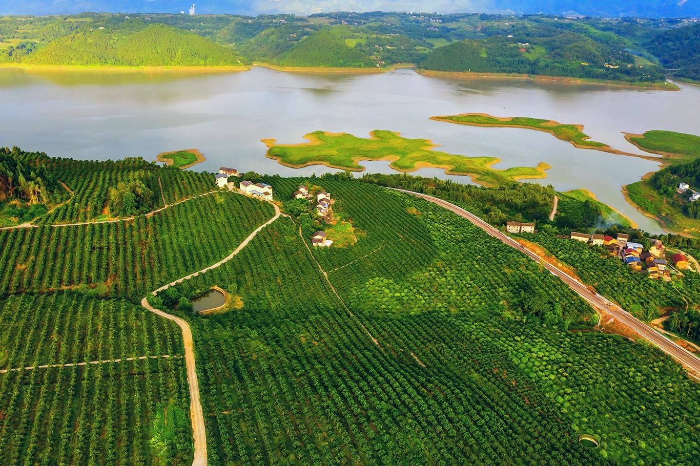 橘园向江边延伸忠县地处三峡库区腹心,属亚热带东南季风区山地气候