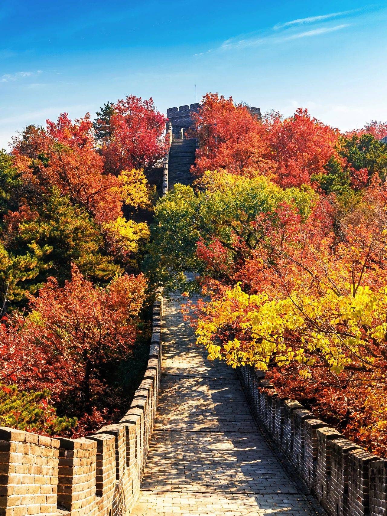 长城秋景图片