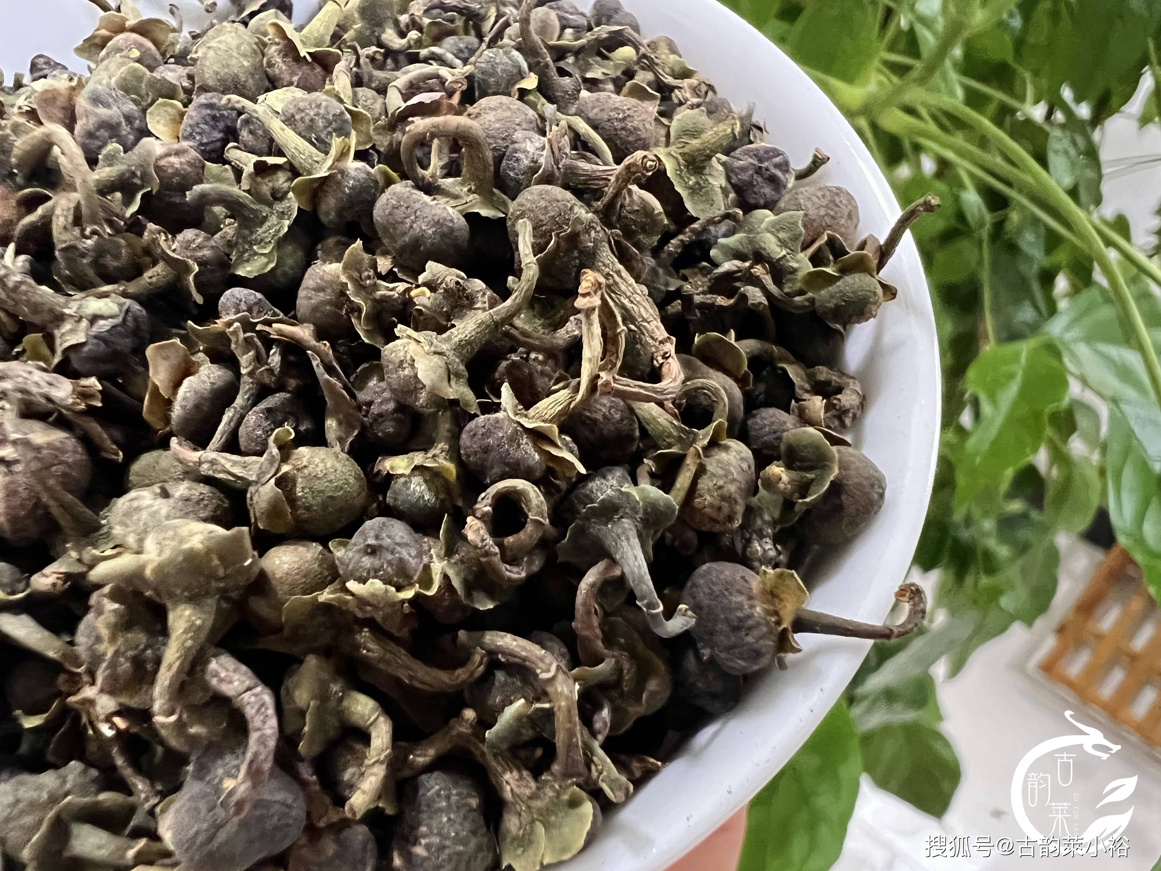 大自然的经典馈赠,茶树中的"人参果"