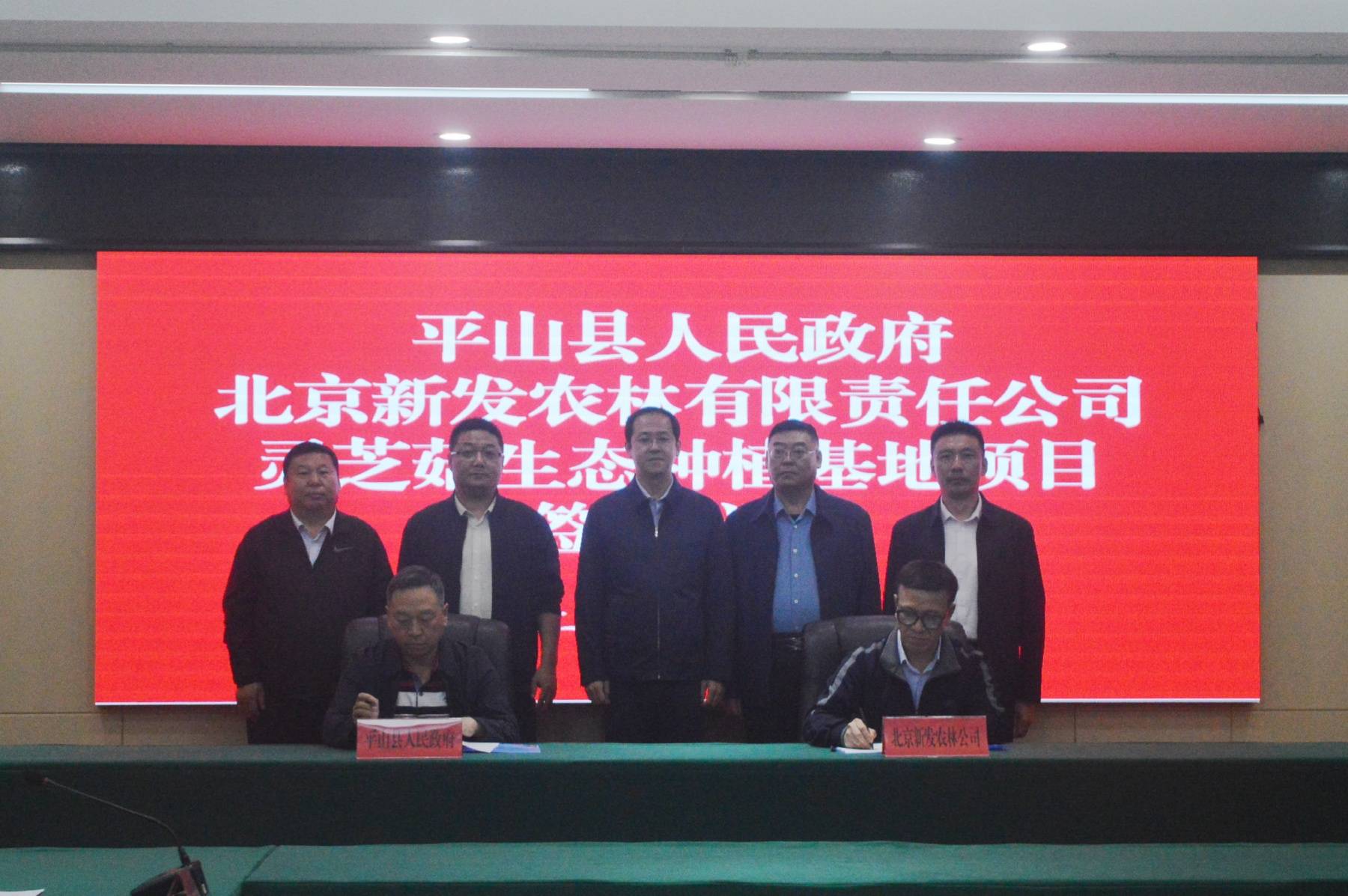 平山县政府与北京新发农林有限公司举行灵芝菇生态种植基地项目签约仪式 图2