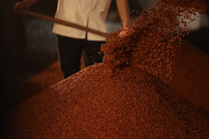 贵州迎宾酒:重阳将至,又到一年下沙好时节_酿酒_集团_赤水