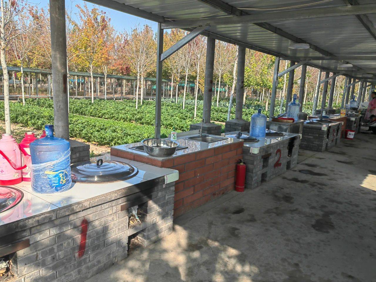 秋日田园趣,丰收赢佳节——燕桥小学举办秋季研学活动_课程_教育_大