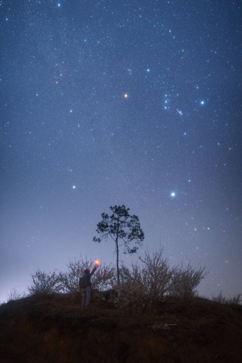 猫哥带你看星星