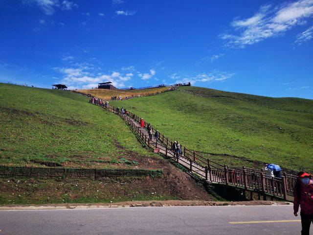 那拉提风景区:世界四大河谷草原之一,离天堂最近的美丽大草原_美景
