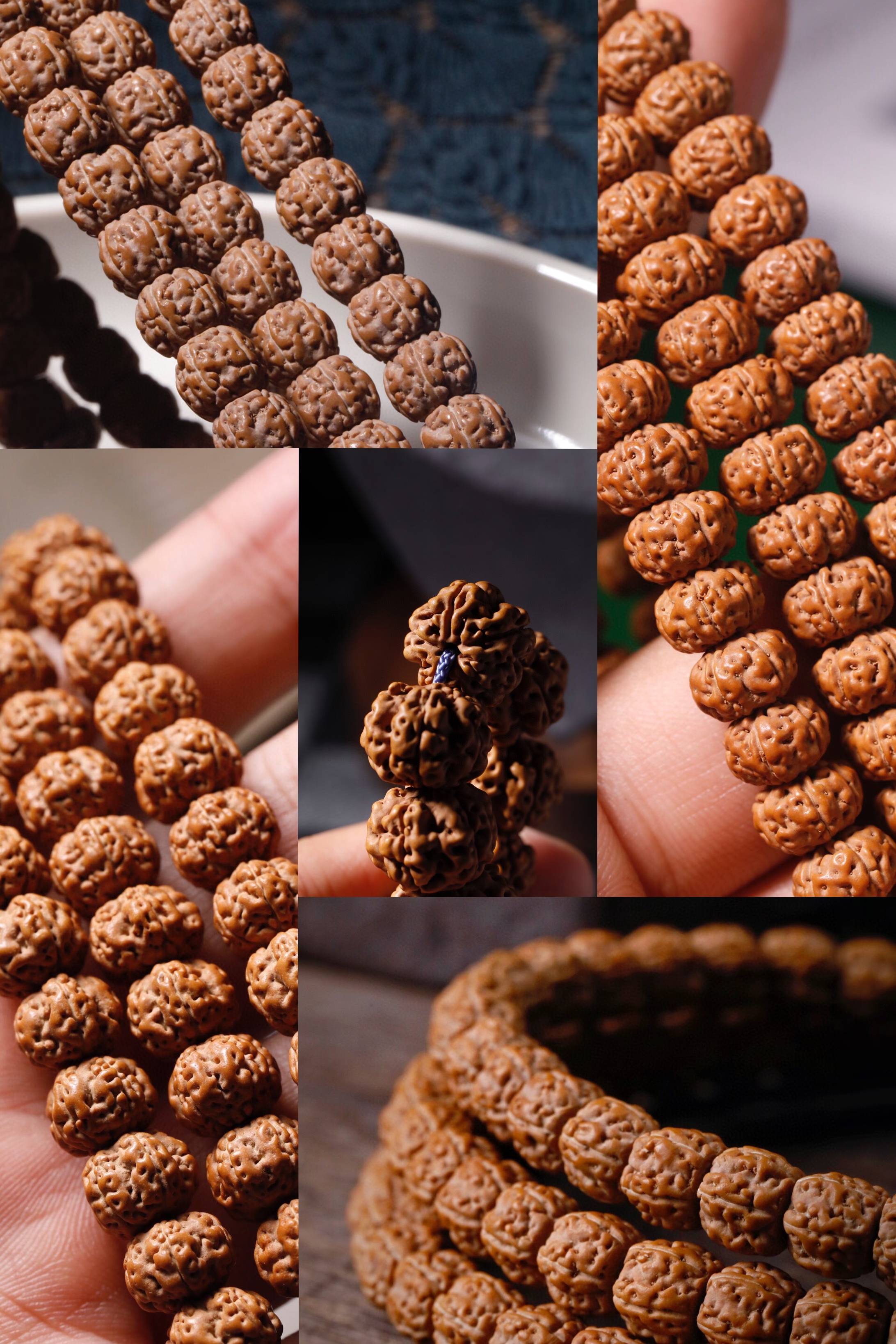 盘点市面上比较火的小金刚品种与纹路,快看看您手里的小金刚属于那种