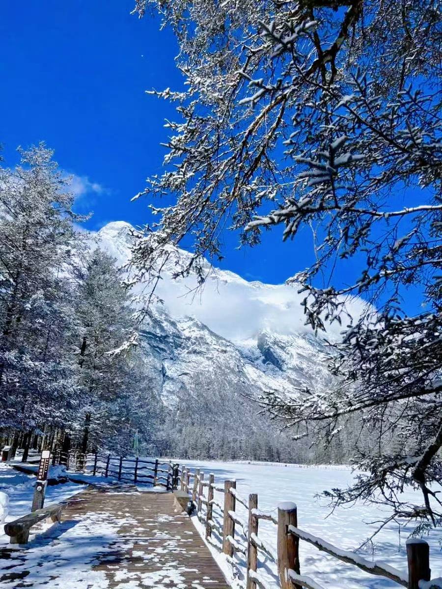 在玉龙雪山