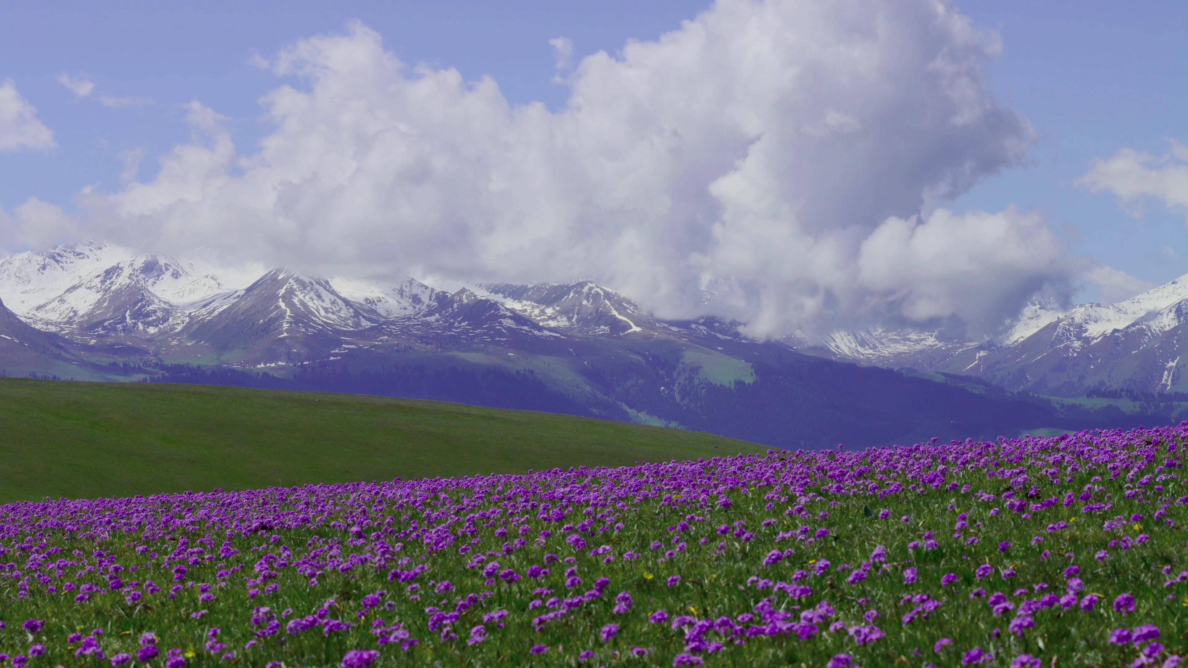 壮美喀拉峻大草原:世界自然遗产之美,让人惊叹不已_天山山脉_高山