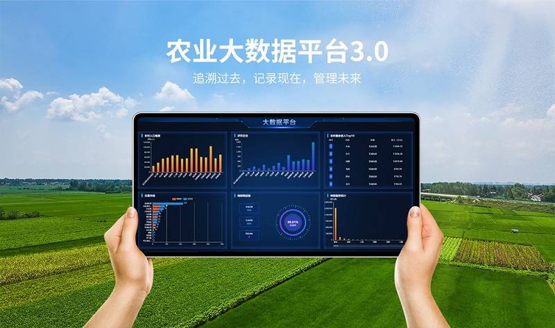 农业服务平台引领现代农业发展浪潮