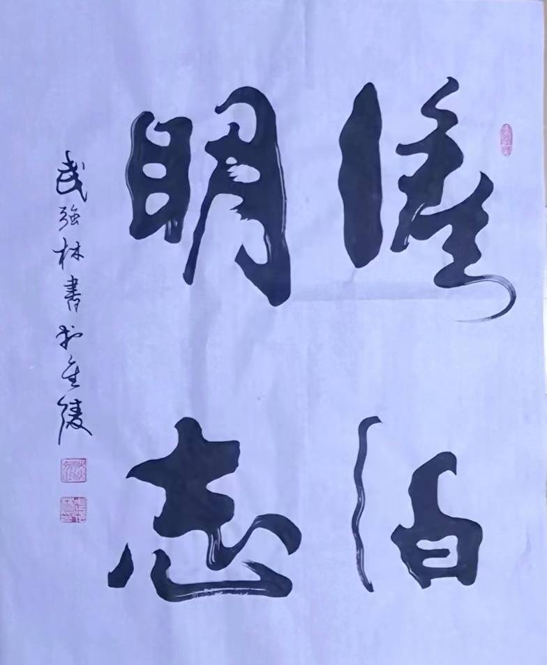 武强林书法赏析_全国_中国_艺术