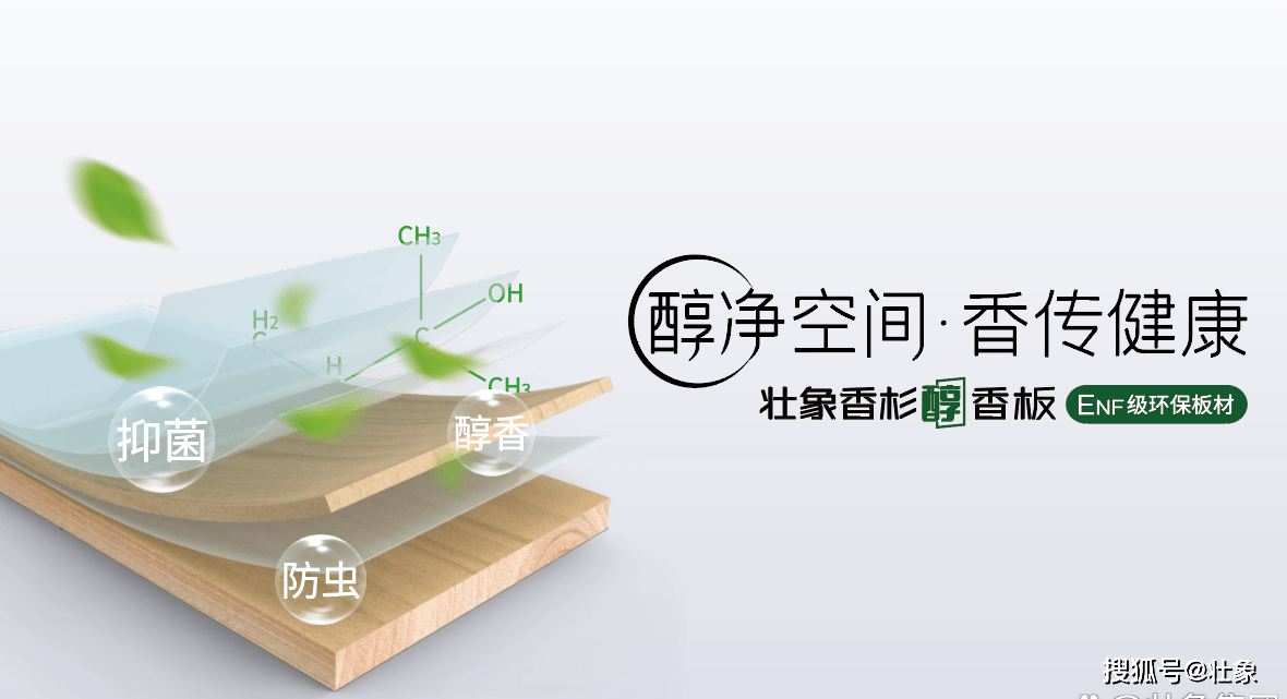 壮象香杉醇香板:呵护家庭健康的理想选择_板材_杉木_木材