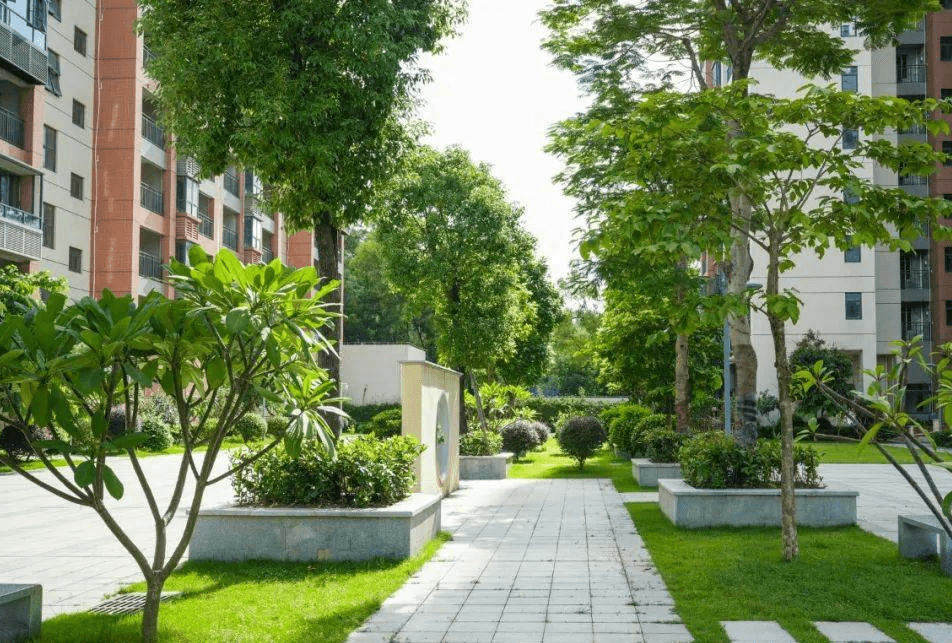 龙华观澜8栋统建楼花园【高尔夫1号】70年产权,南北通透,大阳台