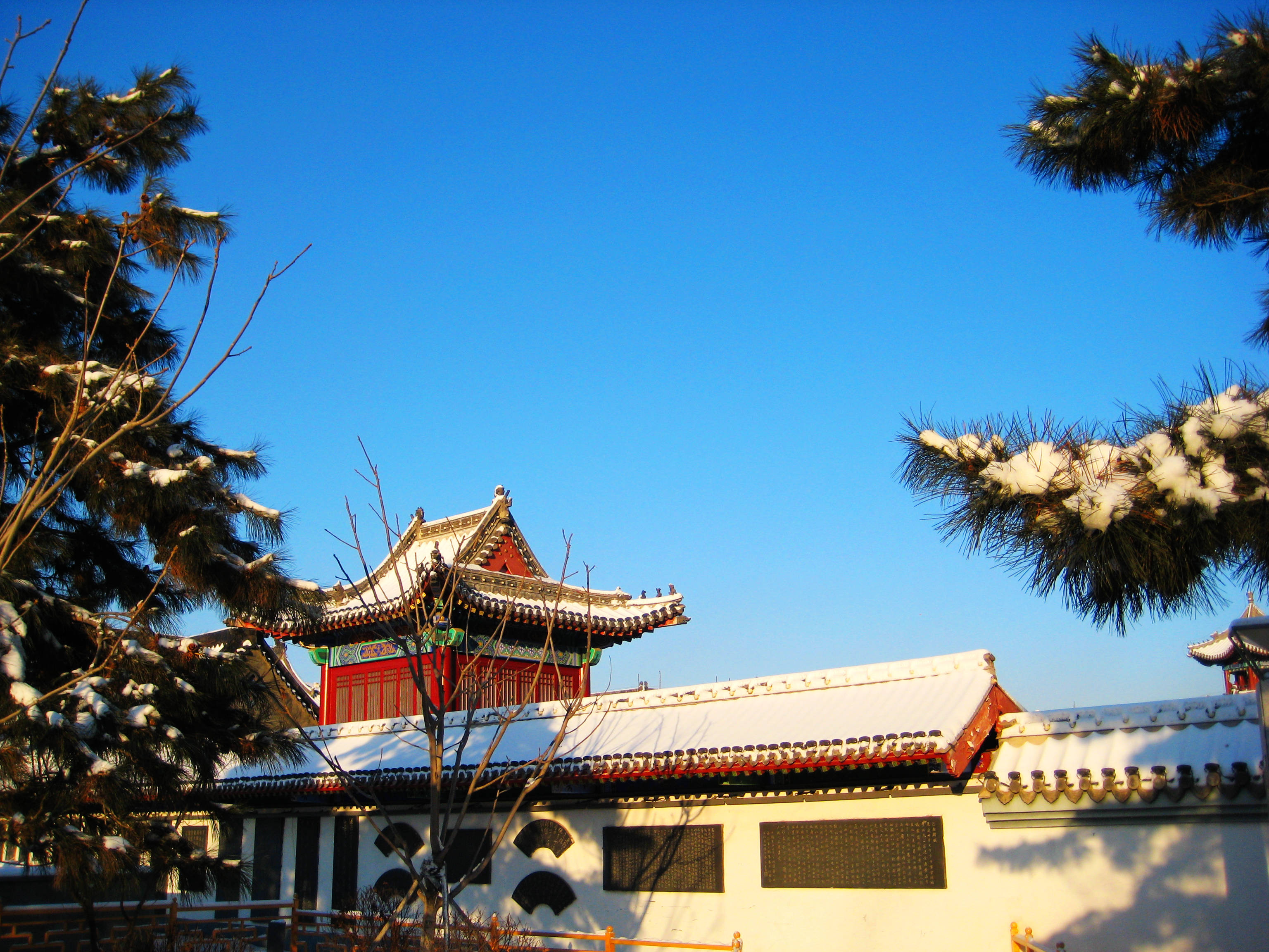 冬日下的长春文庙_阳光_宁静_庭院