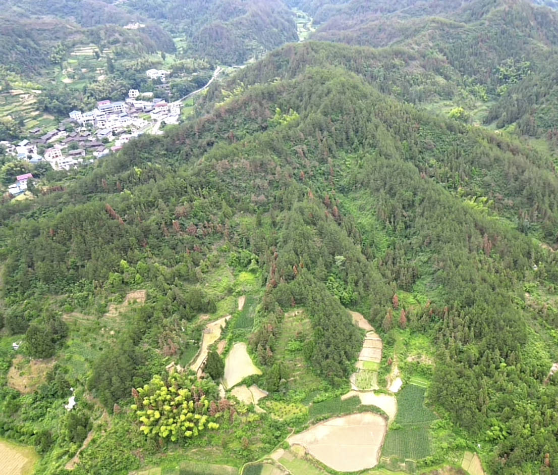 牽連者,龍原宜開面,離祖之下不開面無妨,特降者,總須並面,行度之處,不