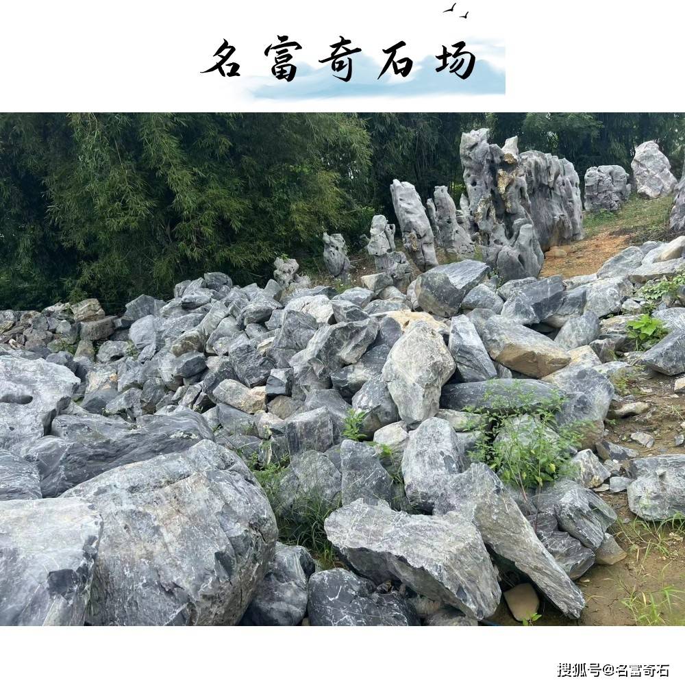 南昌供應太湖石景觀工程假山石 太湖石產地批發_園林