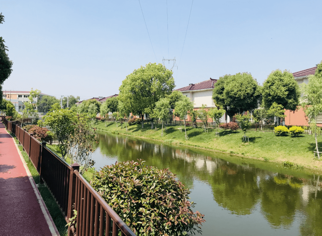 【农村人居环境整治】倪家巷村:绿化美化乡村环境 共建宜居美好家园