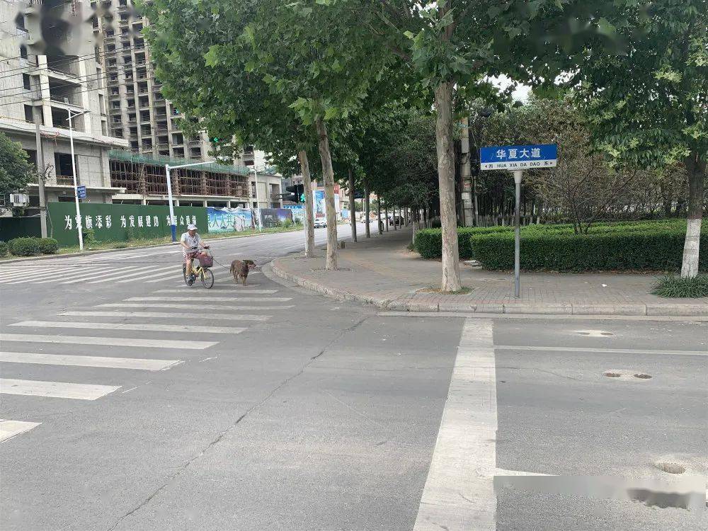 微讯丨府东路,华夏大道,府西路恢复双向通行的公告;禹州神垕入选省级"
