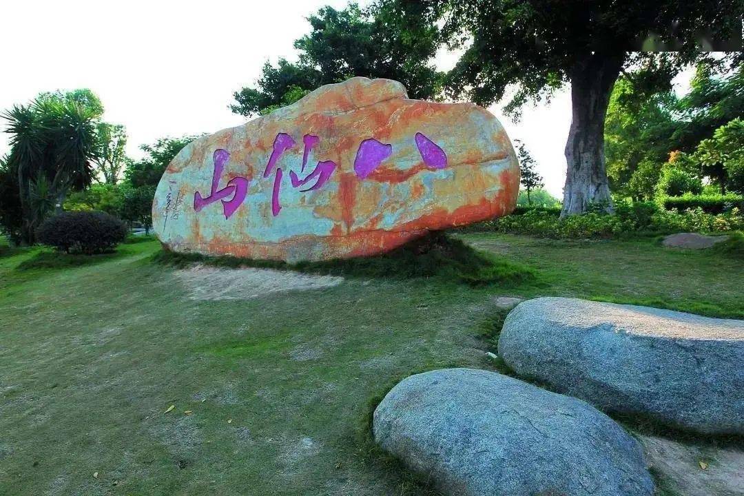 整个朋友圈只有你没有野餐照?