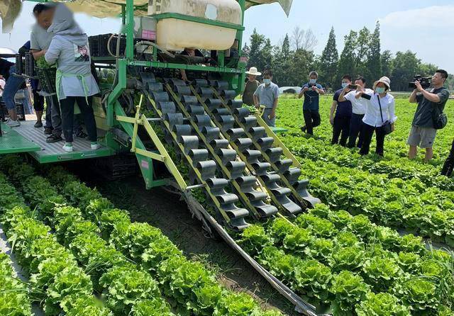 单环节机械化率超50% 我省蔬菜生产机械化高点起步