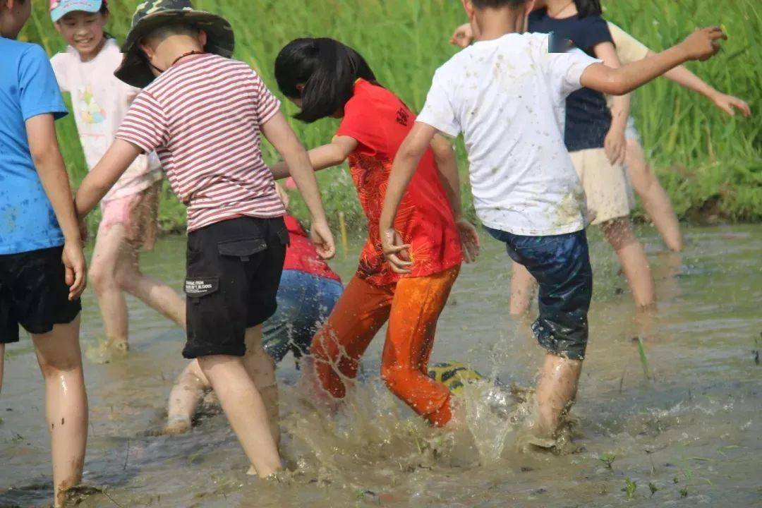 农耕奔向田野赤脚莳秧找寻最原始的童年