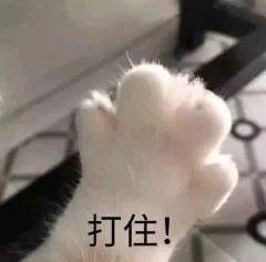 家长表示自己很忙,勿cue