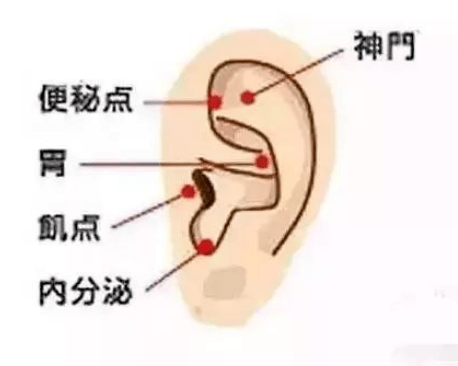 艾灸一个部位等于保养了一次全身的经络哦