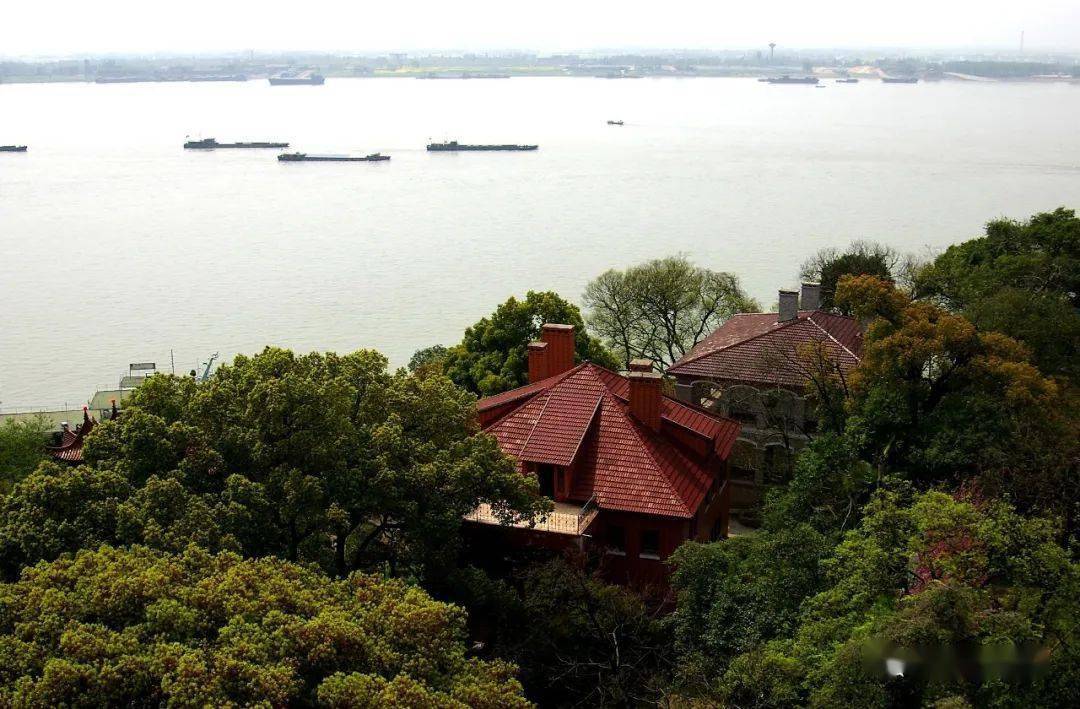 云讲堂直播预告6月6日周六1000国际爱眼日梅立新主任