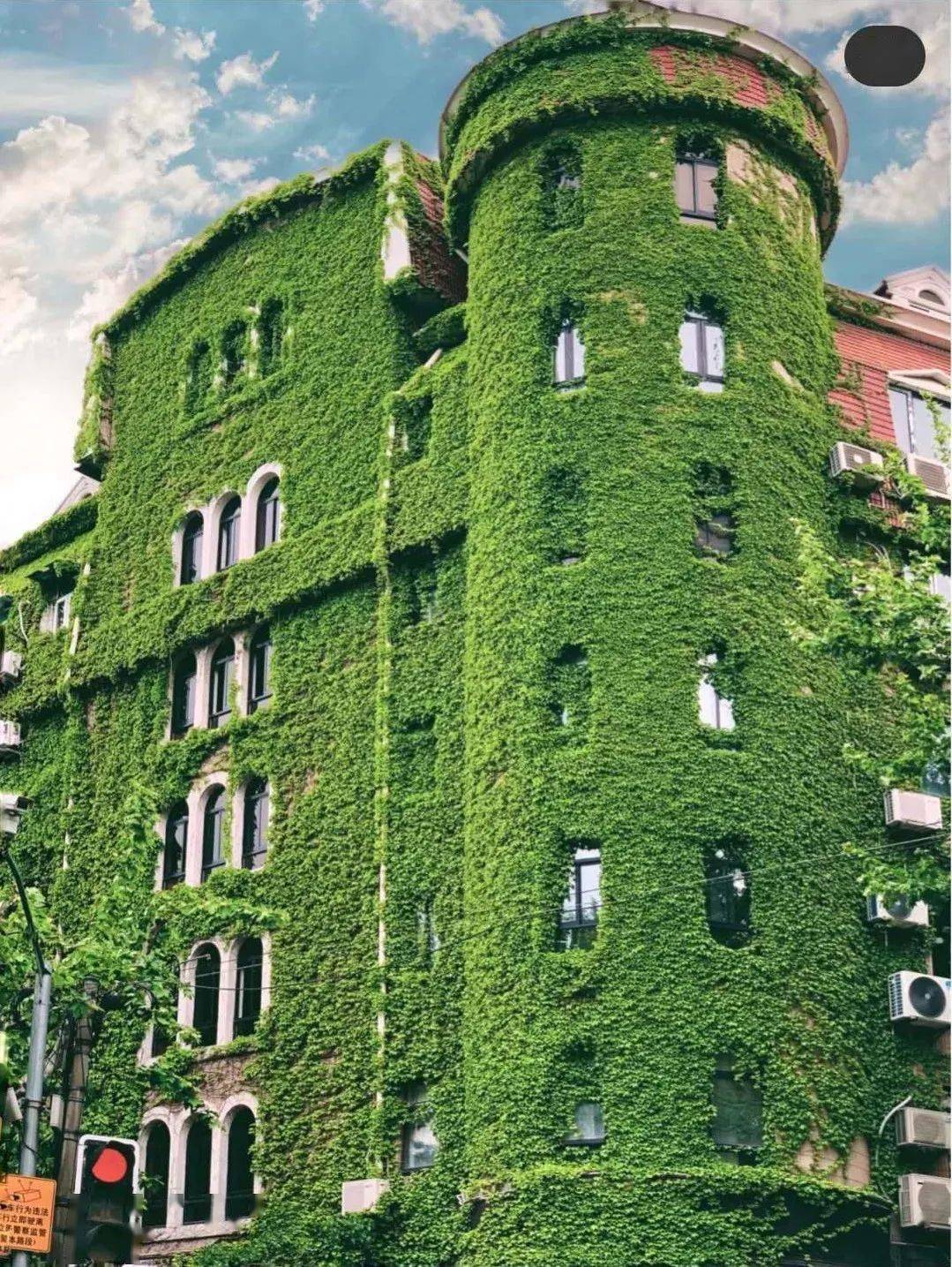 上海小马路上的这座绿楼火了