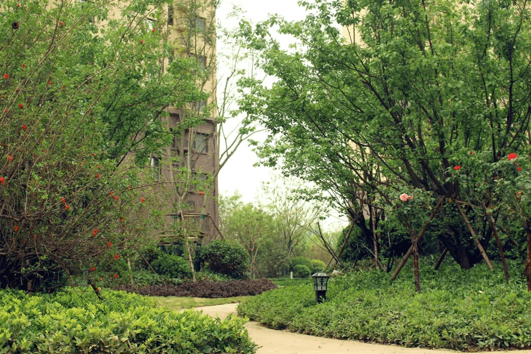 太湖县御湖城二期图片