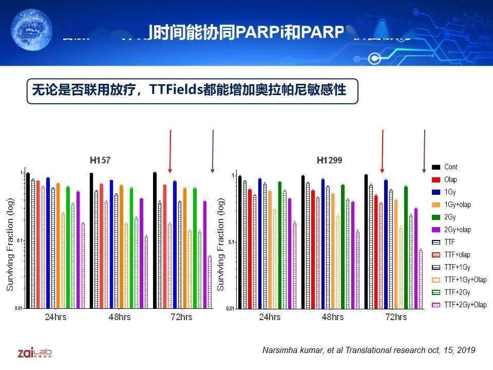 gbm前沿花瑋副教授腫瘤電場治療的分子機制研究新進展