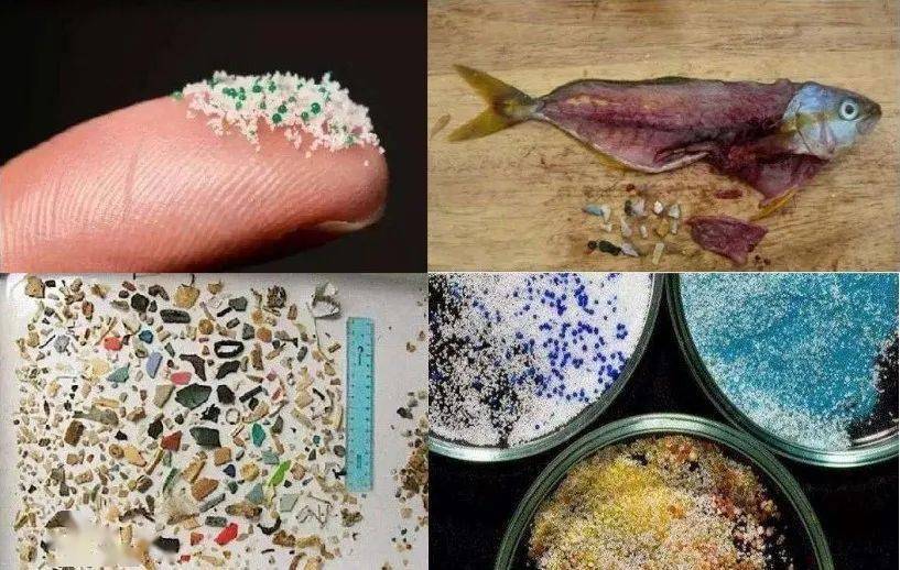 美国约翰霍普金斯大学的研究表明,无论微塑料本身对人体健康的危害