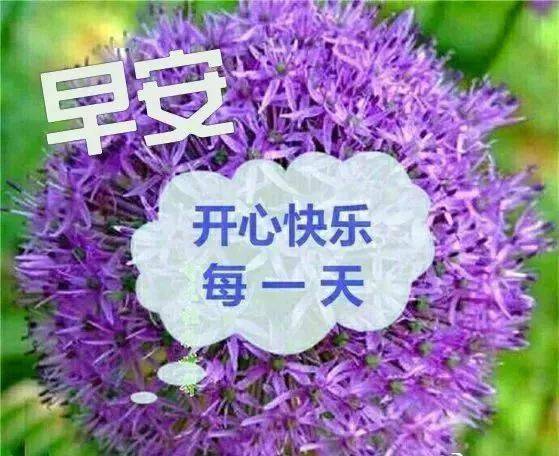 夏天早上好问候动态表情图片 夏季早安带字图片带祝福语