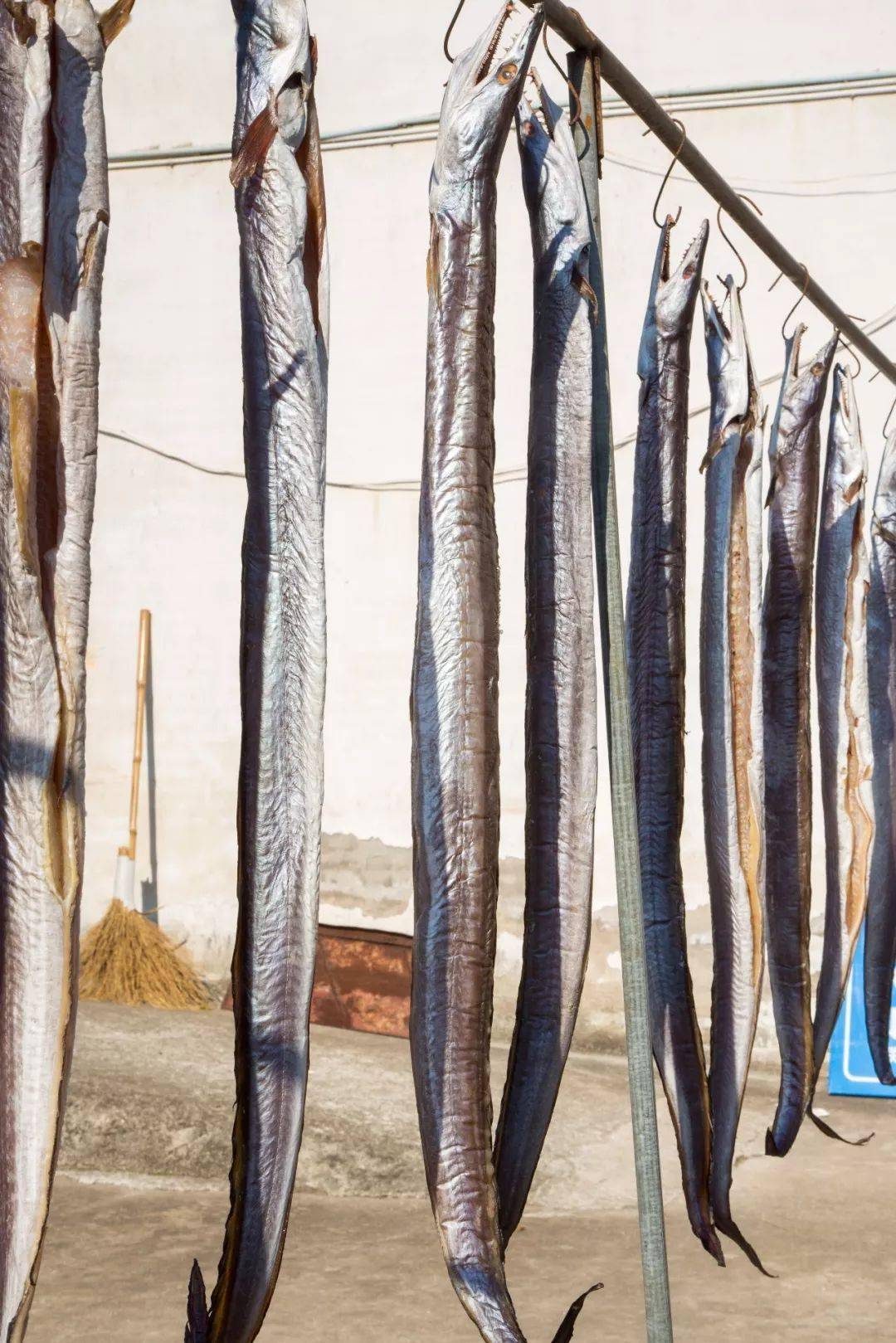 一镇一味茅洋鱼鲞沉淀时间的味道