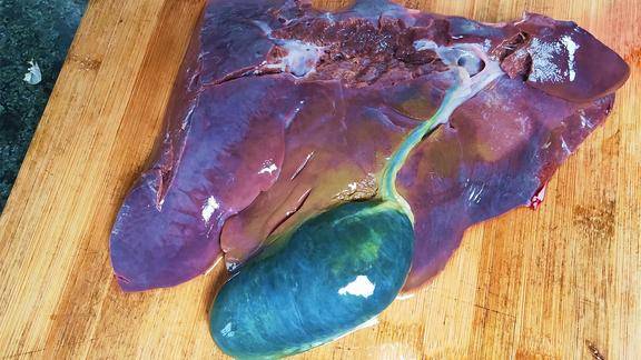 做羊肝时到底要不要切掉羊胆来看潘哥怎么做