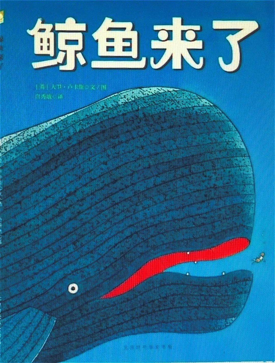 "童阅绘"海洋绘本声影台丨鲸鱼来到了家门口,谁能把鲸鱼送回海洋呢?