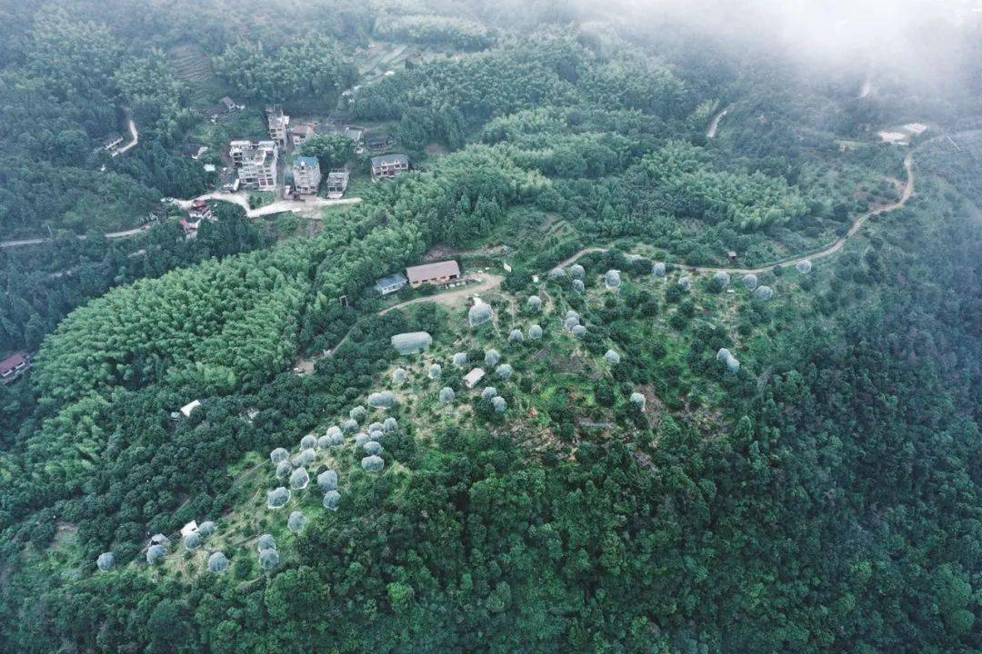 荸荠种,东魁岭底乡日接待能力:150人次采摘时间:2020.6.18-6.