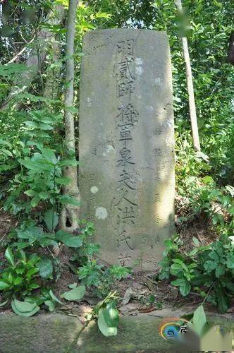 考古发现邓钟妻子墓葬