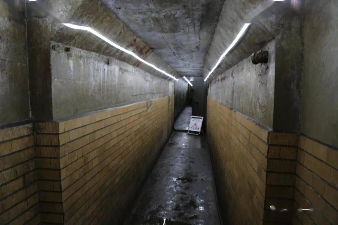 御用防空洞游泳池同德殿后的嘉乐殿,建于1941年,是伪满皇宫中最大的赐