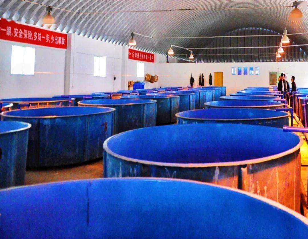 鱼苗培育大盆黑马鱼类增殖站鱼类增殖站大渡河黑马大渡河是长江上游的