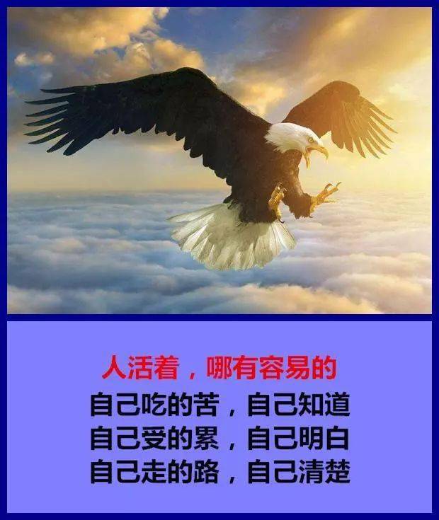 人活着,没有谁是容易的!(句句穿心)