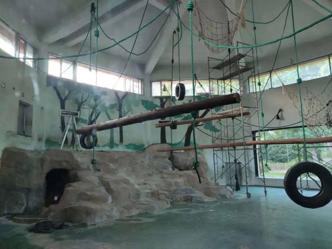 65世界环境日特别活动