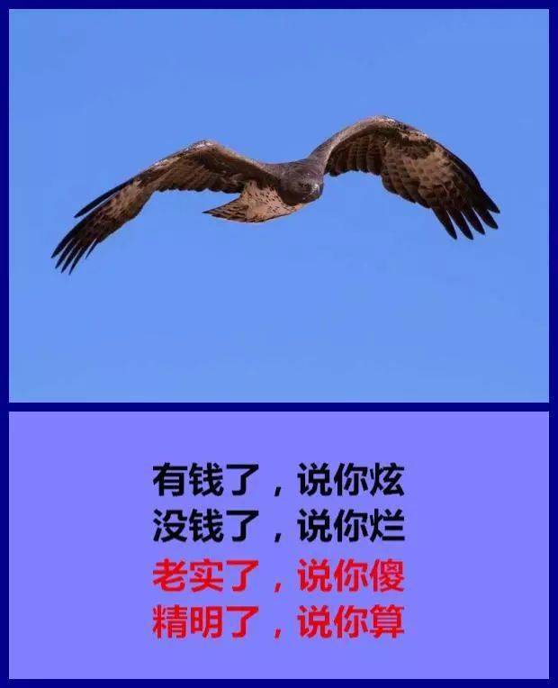 人活着,没有谁是容易的!(句句穿心)