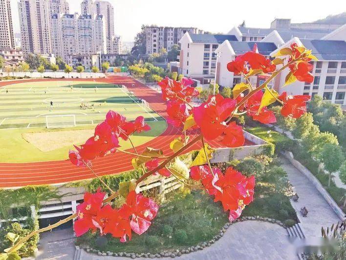 永安这个刚办了三年的学校如今已是渐入佳境