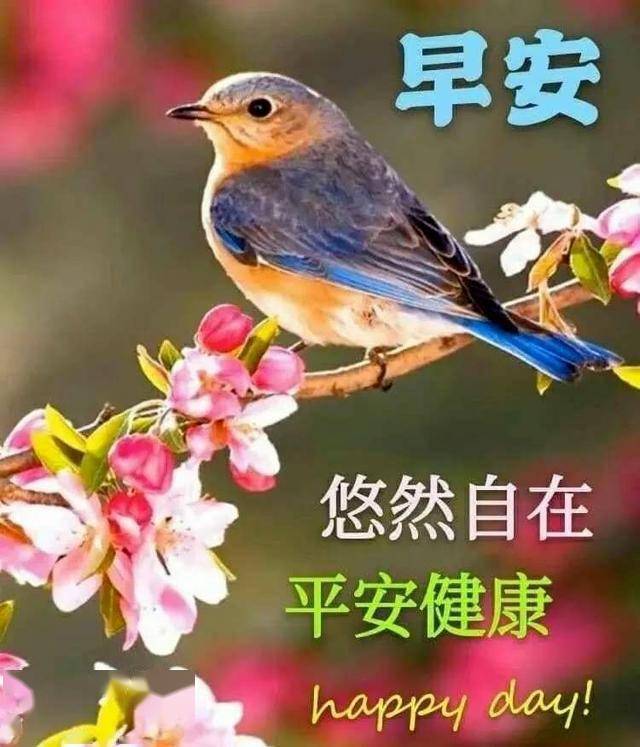 6月6日最漂亮的早上好祝福语图片温馨清晨群发短语暧心问候动图 人生