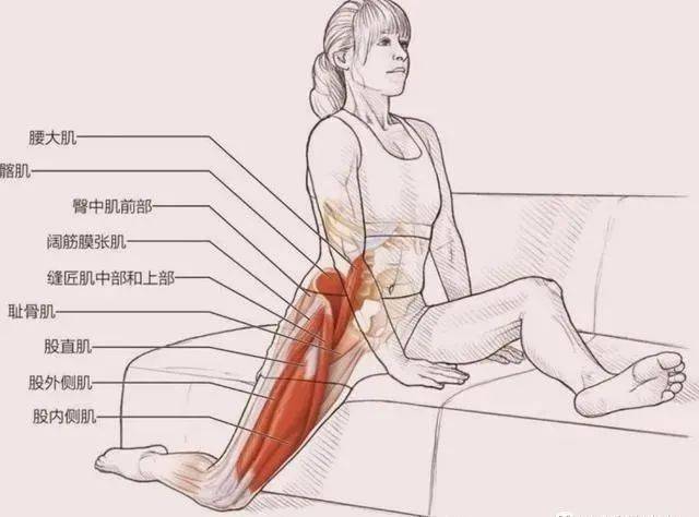 必备常见静态拉伸动作