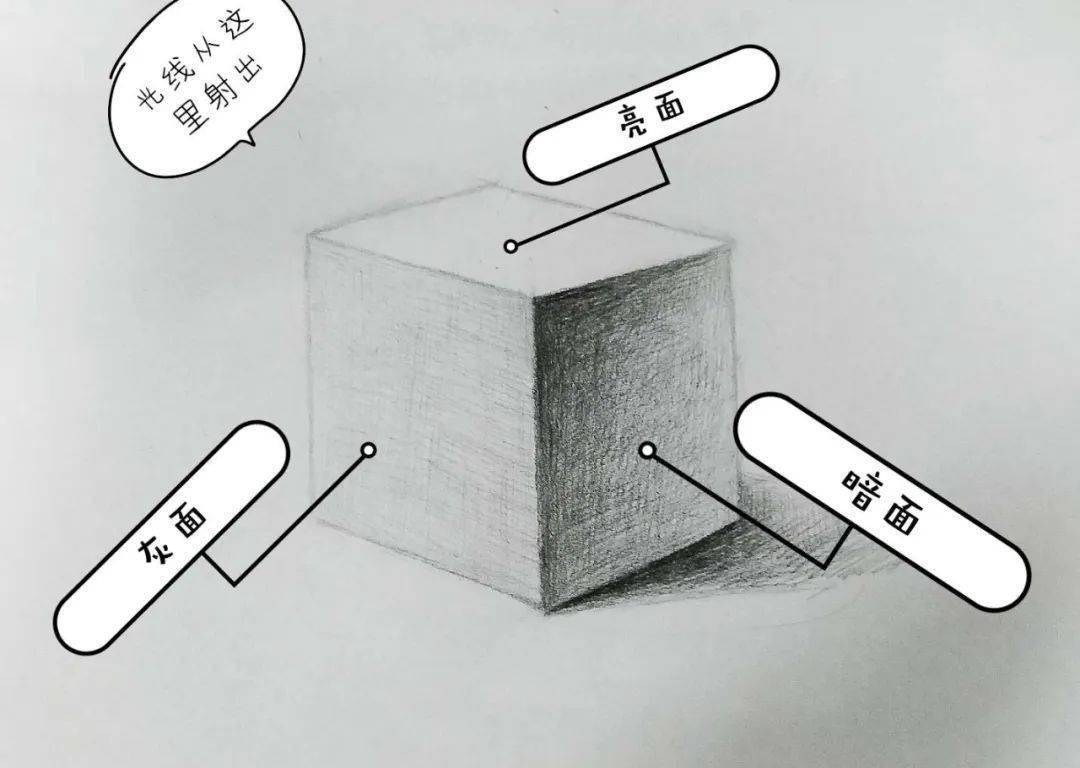 网上青少年宫61微学堂丨素描第五课三大面五调子