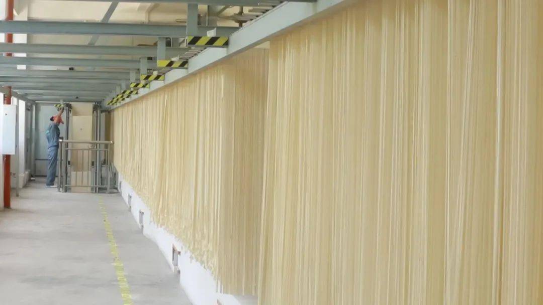 小面条大产业改变云阳近二十万人的命运未来目标千亿级