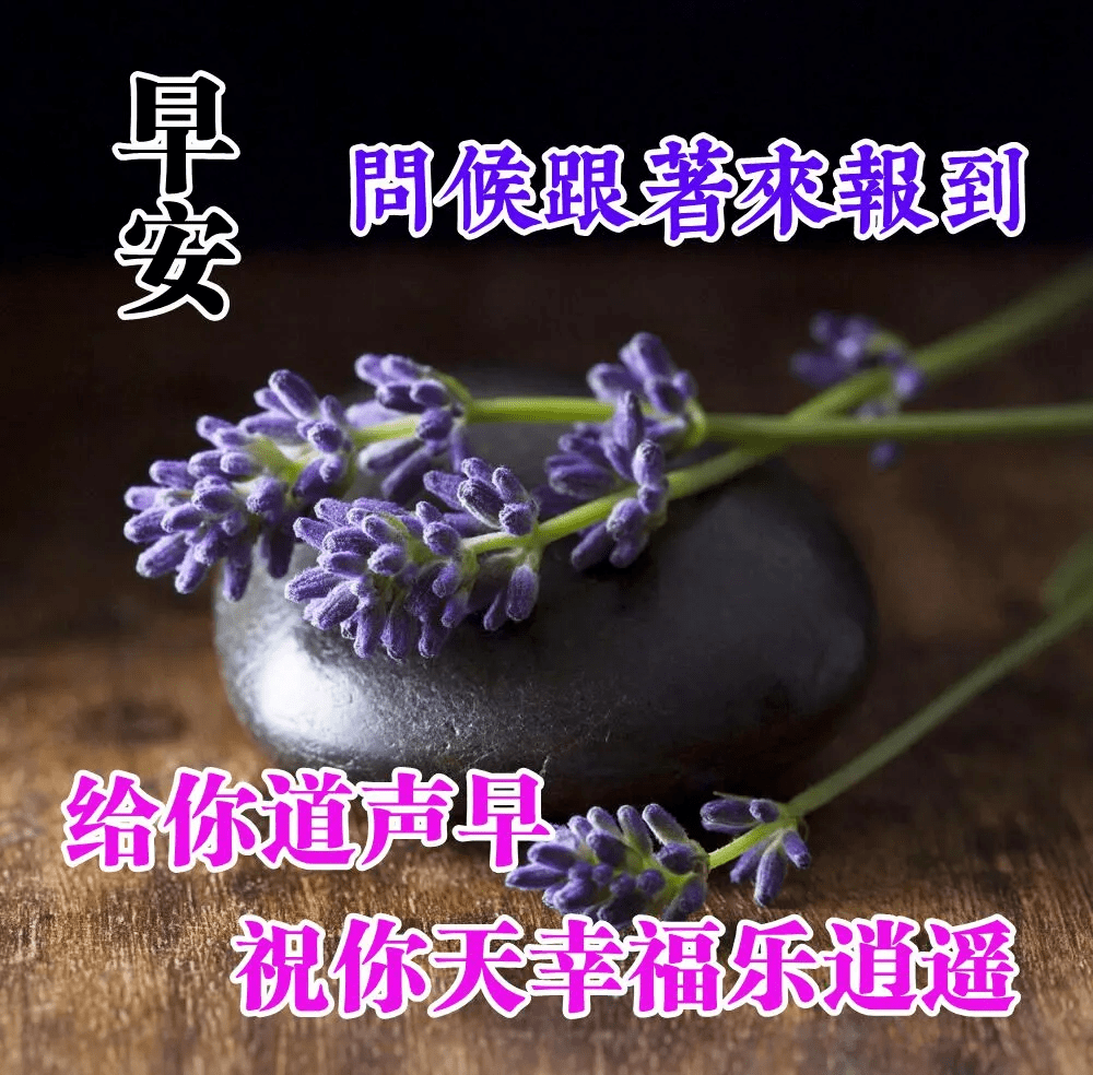 週一早上好,我的問候早早陪伴你,祝福每天好心情,早安!