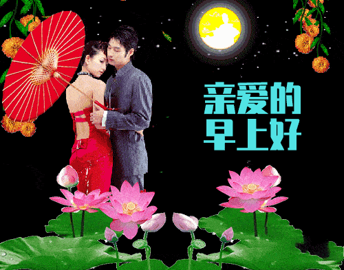 晨曦在呼叫鸟儿在鸣叫美梦醒了快起床早晨好