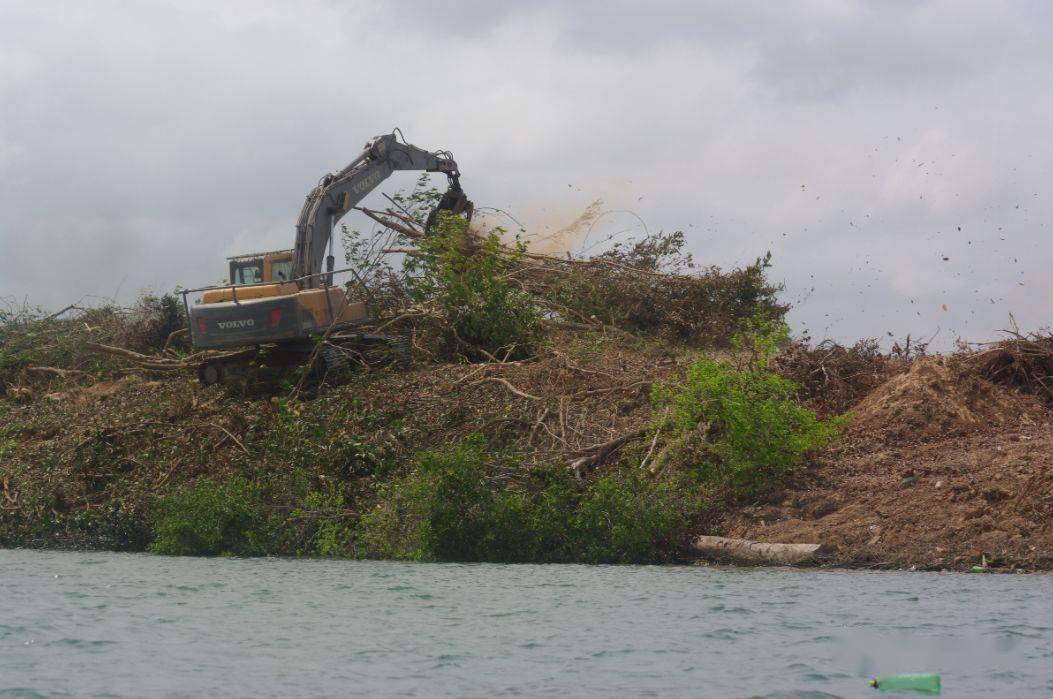 原生魅力全面探索rioxingu一览自然栖息地的神奇物种异型鱼