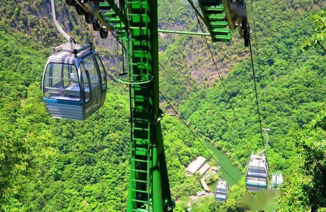 【乐游】康养秘谷之:陕南第一索,云端金丝峡_索道